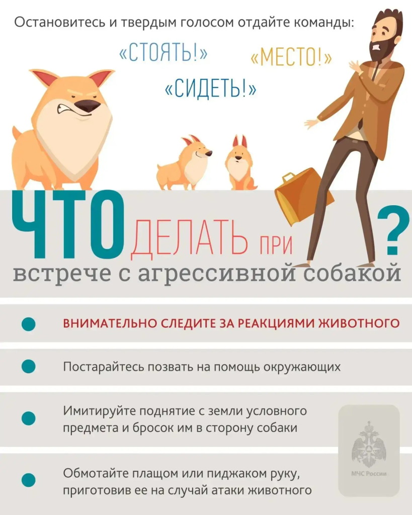 Берегись злой собаки